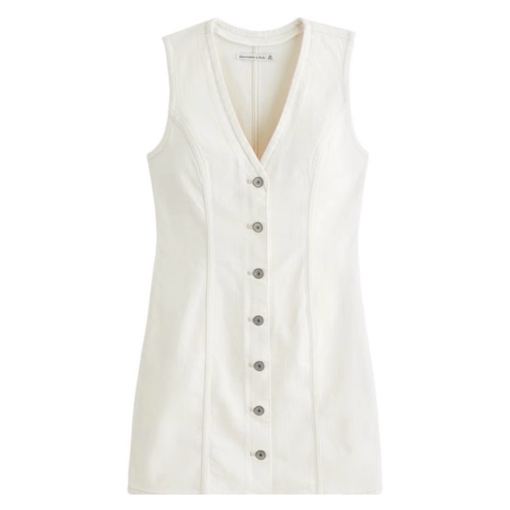 Abercrombie Sleeveless Denim Button-Down Dress